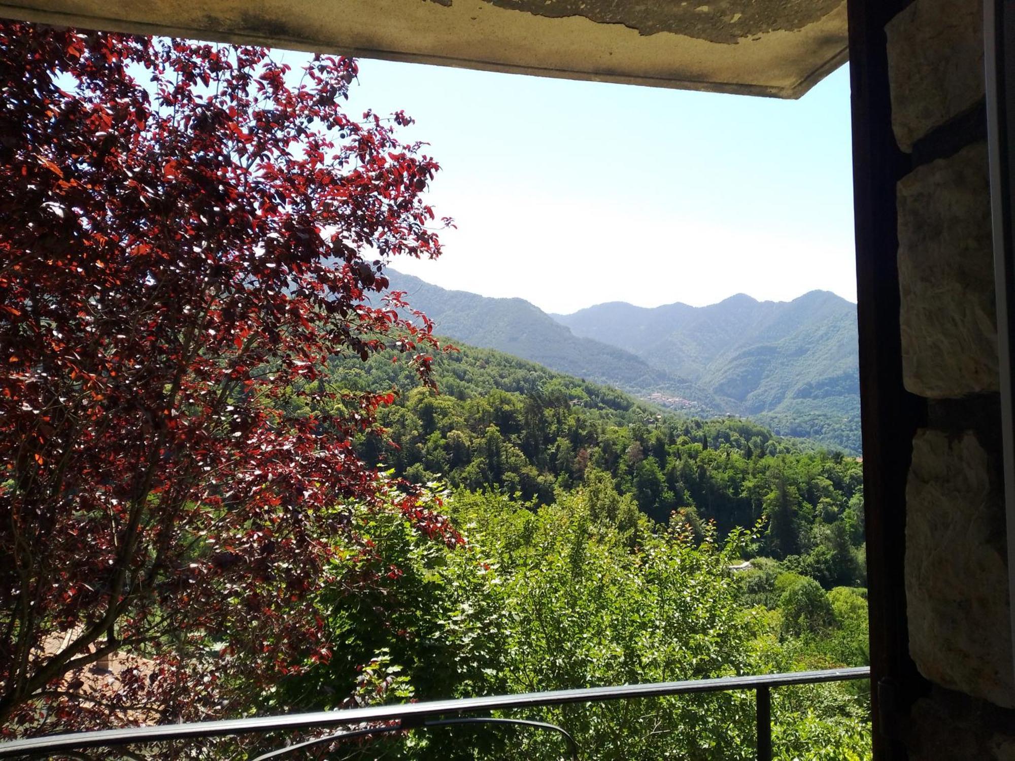 Les Lauriers Διαμέρισμα Roquebilliere Εξωτερικό φωτογραφία